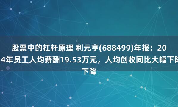 股票中的杠杆原理 利元亨(688499)年报：2024年员工人均薪酬19.53万元，人均创收同比大幅下降