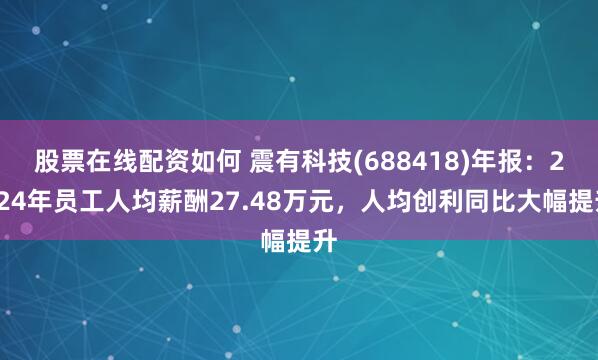 股票在线配资如何 震有科技(688418)年报：2024年员工人均薪酬27.48万元，人均创利同比大幅提升
