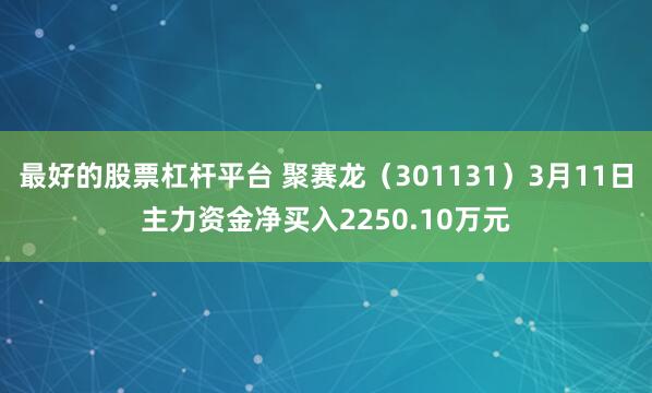 最好的股票杠杆平台 聚赛龙（301131）3月11日主力资金净买入2250.10万元