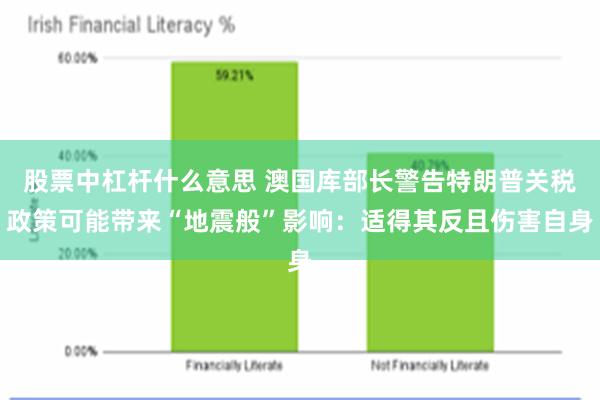 股票中杠杆什么意思 澳国库部长警告特朗普关税政策可能带来“地震般”影响：适得其反且伤害自身