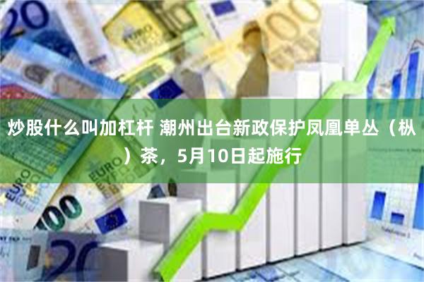 炒股什么叫加杠杆 潮州出台新政保护凤凰单丛（枞）茶，5月10日起施行