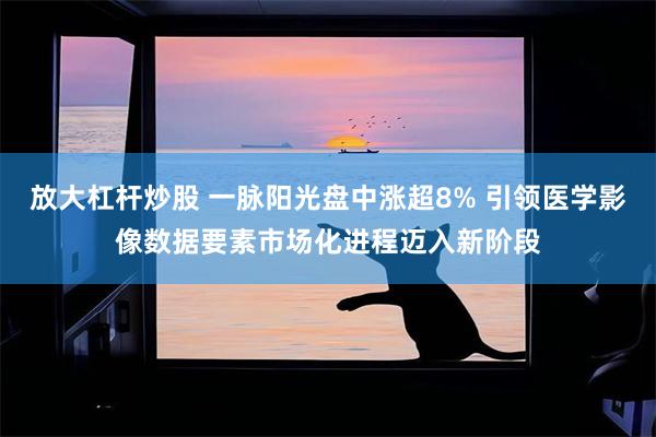 放大杠杆炒股 一脉阳光盘中涨超8% 引领医学影像数据要素市场化进程迈入新阶段