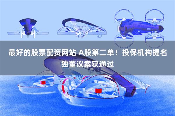 最好的股票配资网站 A股第二单！投保机构提名独董议案获通过