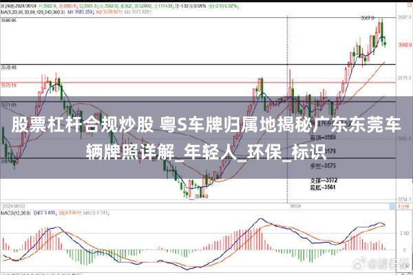 股票杠杆合规炒股 粤S车牌归属地揭秘广东东莞车辆牌照详解_年轻人_环保_标识