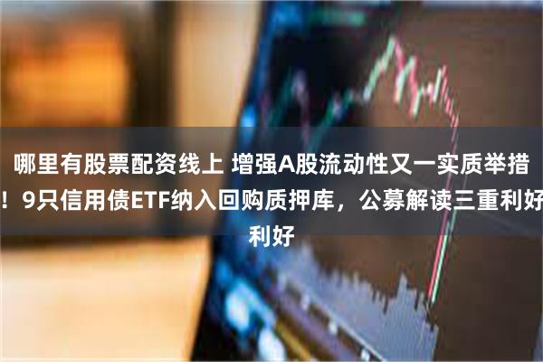 哪里有股票配资线上 增强A股流动性又一实质举措！9只信用债ETF纳入回购质押库，公募解读三重利好