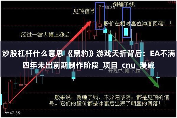 炒股杠杆什么意思 《黑豹》游戏夭折背后：EA不满四年未出前期制作阶段_项目_cnu_漫威