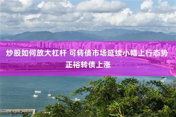 炒股如何放大杠杆 可转债市场延续小幅上行态势 正裕转债上涨