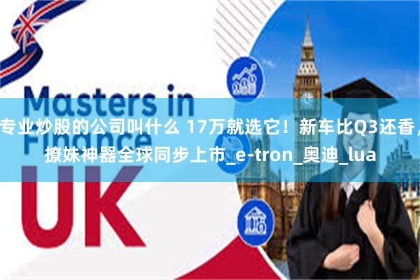 专业炒股的公司叫什么 17万就选它！新车比Q3还香，撩妹神器全球同步上市_e-tron_奥迪_lua