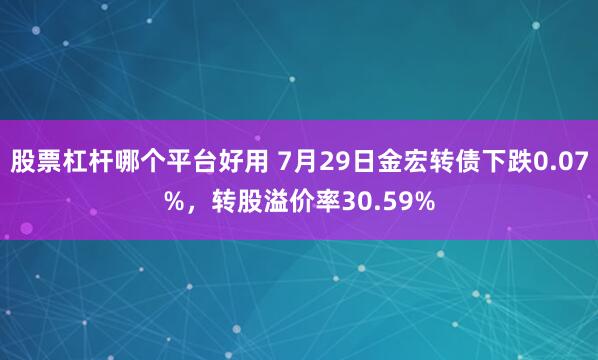 股票杠杆哪个平台好用 7月29日金宏转债下跌0.07%，转股溢价率30.59%