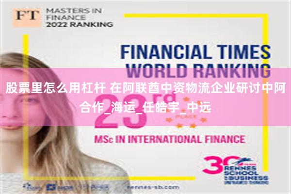 股票里怎么用杠杆 在阿联酋中资物流企业研讨中阿合作_海运_任皓宇_中远