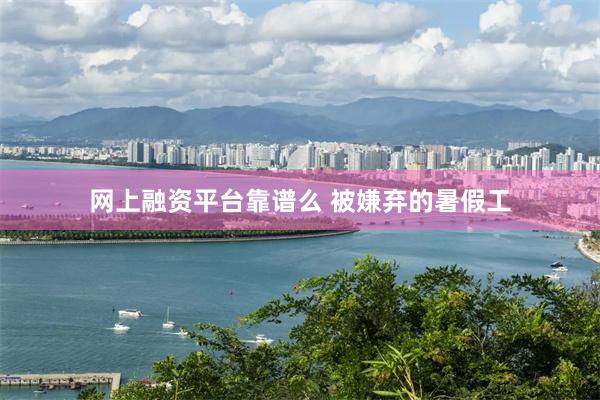 网上融资平台靠谱么 被嫌弃的暑假工